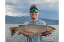 Logo for Dylan Ault Logo for Dylan Ault