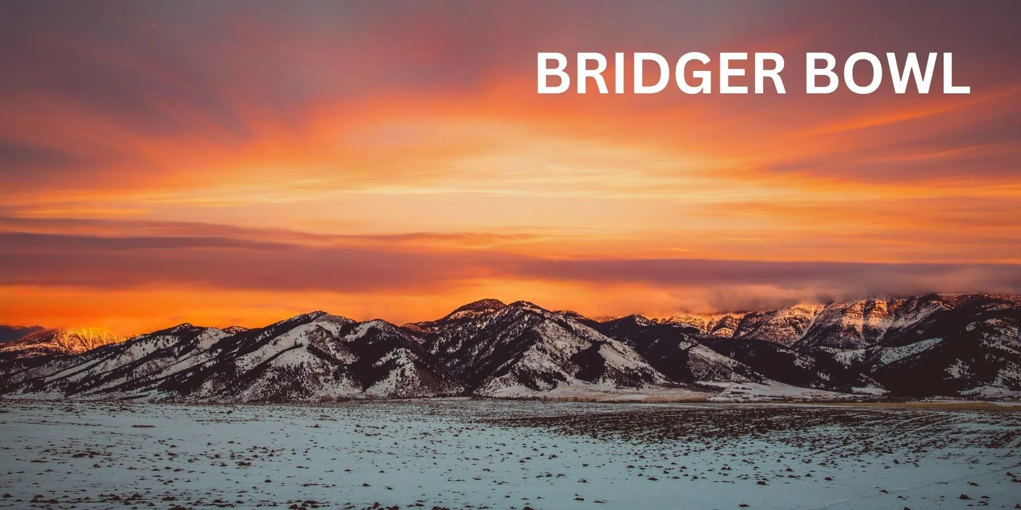Blog_Image_-_Bridger_Bowl_Ski_Area_Altitude_2000x1000_0e1a59ca-711c-4231-8cad-5a95fbece18a_2048x.jpg